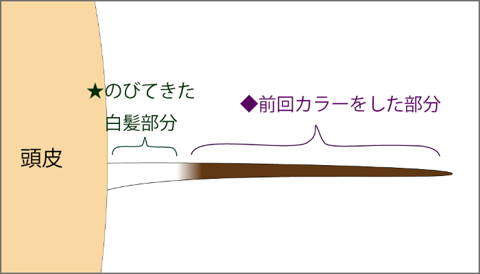 カラーの解説の絵